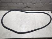 Front door rubber seal