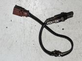 Lambda zondas