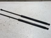 Rear window strut damper