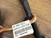 Sound system wiring loom