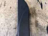 Other front door trim element