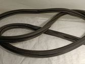 Rear door rubber seal (on body)