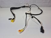 Other wiring loom