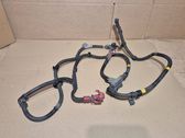 Wires (starter motor)