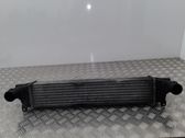 Intercooler radiator