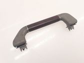 Front interior roof grab handle