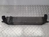 Intercooler radiator