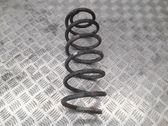 Front coil spring