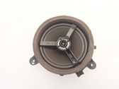 Rear door speaker