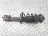 Front shock absorber with coil spring