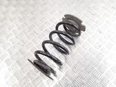 Rear coil spring