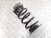 Rear coil spring