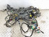 Other wiring loom