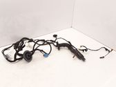 Front door wiring loom