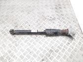 Rear shock absorber/damper