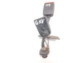 Middle seatbelt buckle (rear)