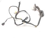 Front door wiring loom