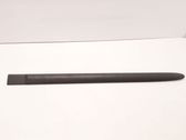 Rear door trim (molding)