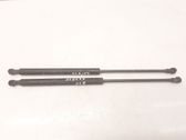 Front bonnet/hood damper/strut