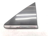 Rear door glass trim molding