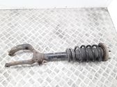 Front shock absorber with coil spring