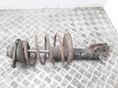 Front shock absorber with coil spring