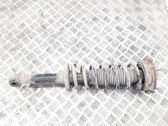 Rear shock absorber with coil spring