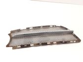 Front bumper lower grill