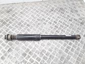 Rear shock absorber/damper