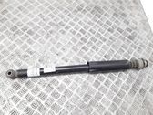 Rear shock absorber/damper
