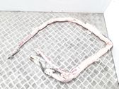 Roof airbag