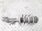 Front shock absorber with coil spring