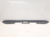 Trunk door license plate light bar