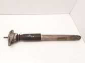 Rear shock absorber/damper