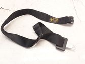 Rear seatbelt