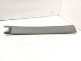 Sliding door trim