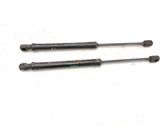 Tailgate/trunk strut/damper