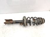 Front shock absorber with coil spring
