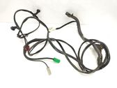 Other wiring loom