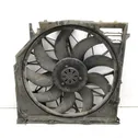 Electric radiator cooling fan