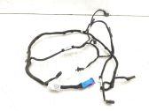 Front door wiring loom
