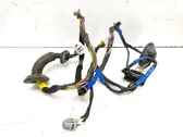 Rear door wiring loom