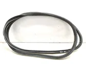 Front door rubber seal