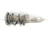 Front shock absorber with coil spring