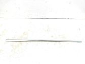 Rear door glass trim molding