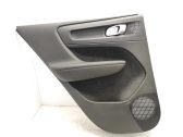 Rear door card panel trim