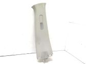 (B) pillar trim (top)