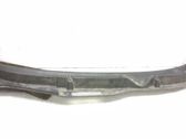 Wiper trim