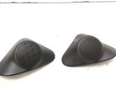 Altavoz de alta frecuencia en la puerta delantera
