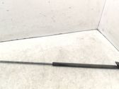 Front bonnet/hood damper/strut